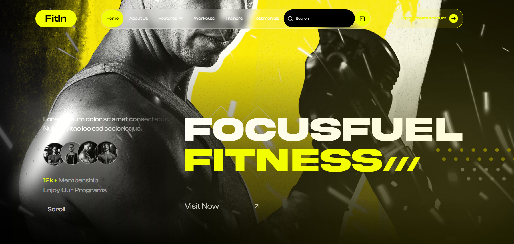 FITIN project